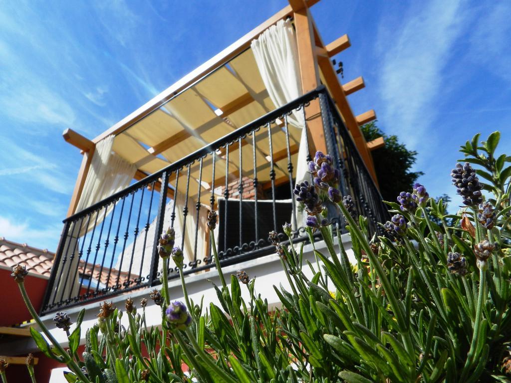 Vila House Of Milka Zadar Exteriér fotografie